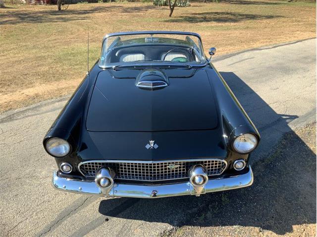 1955 Ford Thunderbird (CC-1646738) for sale in Fredericksburg, Texas