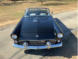 1955 Ford Thunderbird (CC-1646738) for sale in Fredericksburg, Texas