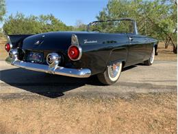 1955 Ford Thunderbird (CC-1646738) for sale in Fredericksburg, Texas