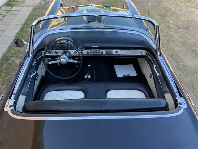 1955 Ford Thunderbird (CC-1646738) for sale in Fredericksburg, Texas