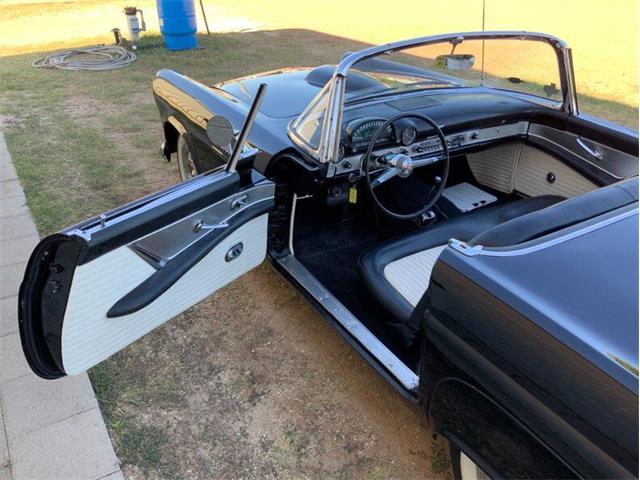 1955 Ford Thunderbird (CC-1646738) for sale in Fredericksburg, Texas