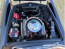 1955 Ford Thunderbird (CC-1646738) for sale in Fredericksburg, Texas
