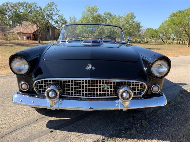 1955 Ford Thunderbird (CC-1646738) for sale in Fredericksburg, Texas