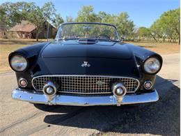 1955 Ford Thunderbird (CC-1646738) for sale in Fredericksburg, Texas