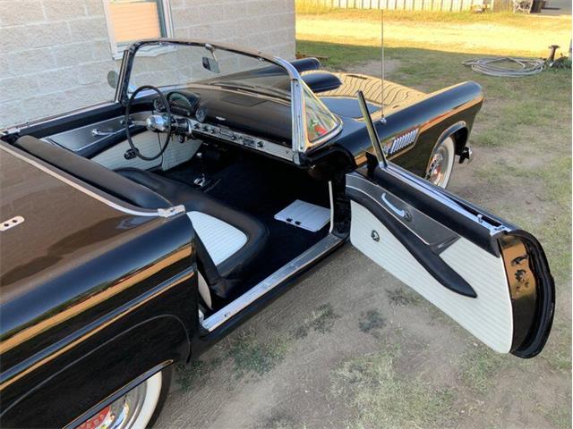1955 Ford Thunderbird (CC-1646738) for sale in Fredericksburg, Texas