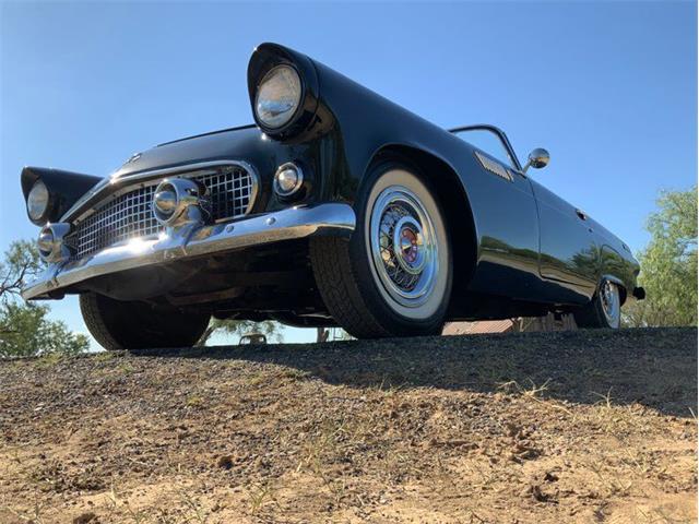 1955 Ford Thunderbird (CC-1646738) for sale in Fredericksburg, Texas