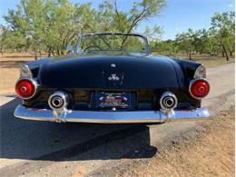 1955 Ford Thunderbird (CC-1646738) for sale in Fredericksburg, Texas