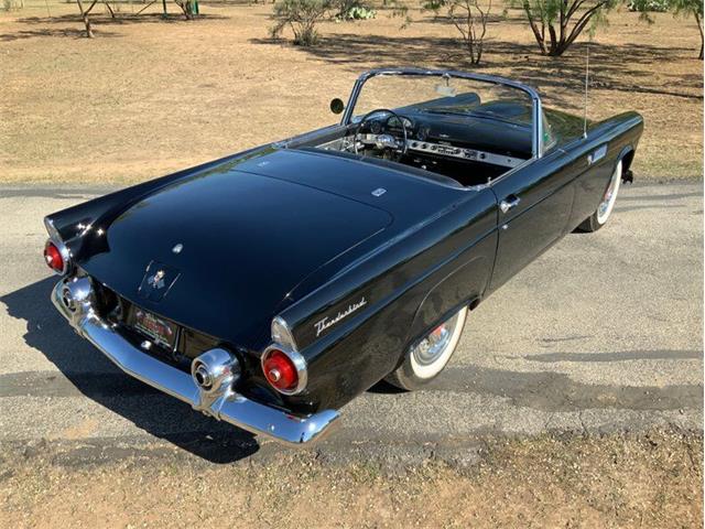 1955 Ford Thunderbird (CC-1646738) for sale in Fredericksburg, Texas