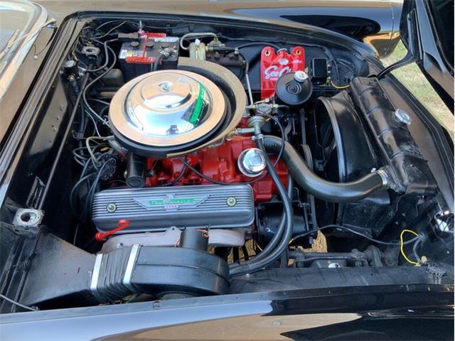 1955 Ford Thunderbird (CC-1646738) for sale in Fredericksburg, Texas
