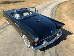1955 Ford Thunderbird (CC-1646738) for sale in Fredericksburg, Texas