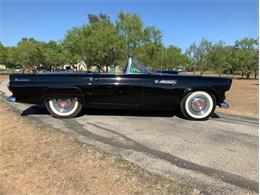 1955 Ford Thunderbird (CC-1646738) for sale in Fredericksburg, Texas