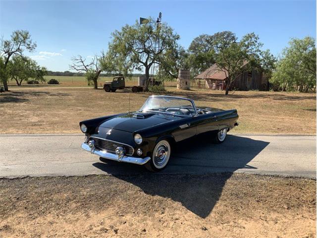 1955 Ford Thunderbird (CC-1646738) for sale in Fredericksburg, Texas