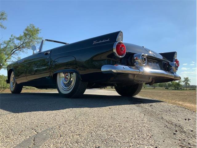 1955 Ford Thunderbird (CC-1646738) for sale in Fredericksburg, Texas