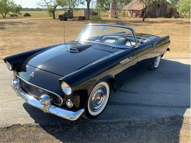 1955 Ford Thunderbird (CC-1646738) for sale in Fredericksburg, Texas