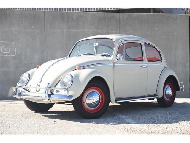 1964 Volkswagen Beetle (CC-1646784) for sale in Santa Barbara, California