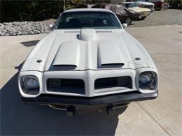 1975 Pontiac Firebird Trans Am (CC-1647461) for sale in Cadillac, Michigan