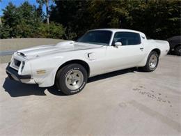 1975 Pontiac Firebird Trans Am (CC-1647461) for sale in Cadillac, Michigan