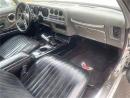 1975 Pontiac Firebird Trans Am (CC-1647461) for sale in Cadillac, Michigan