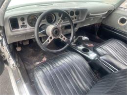 1975 Pontiac Firebird Trans Am (CC-1647461) for sale in Cadillac, Michigan