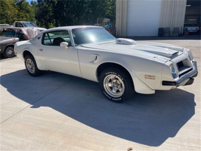 1975 Pontiac Firebird Trans Am (CC-1647461) for sale in Cadillac, Michigan