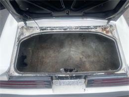 1975 Pontiac Firebird Trans Am (CC-1647461) for sale in Cadillac, Michigan