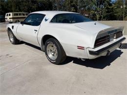 1975 Pontiac Firebird Trans Am (CC-1647461) for sale in Cadillac, Michigan
