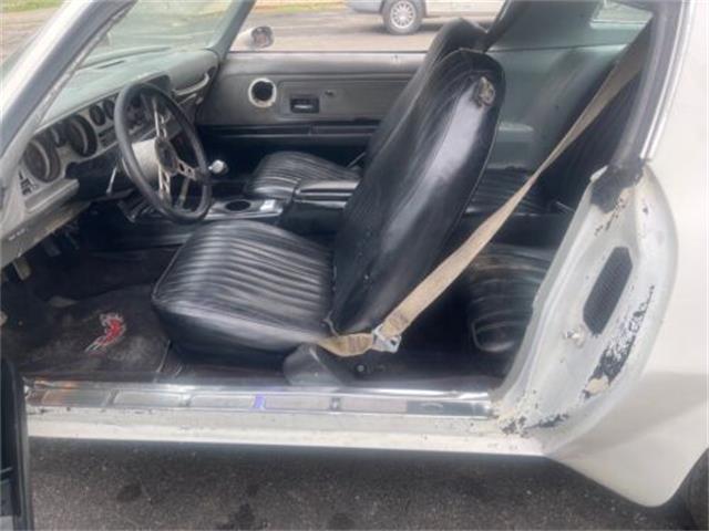 1975 Pontiac Firebird Trans Am (CC-1647461) for sale in Cadillac, Michigan