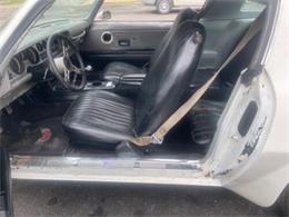 1975 Pontiac Firebird Trans Am (CC-1647461) for sale in Cadillac, Michigan