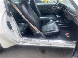 1975 Pontiac Firebird Trans Am (CC-1647461) for sale in Cadillac, Michigan