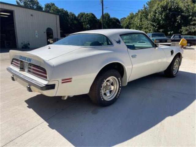 1975 Pontiac Firebird Trans Am (CC-1647461) for sale in Cadillac, Michigan