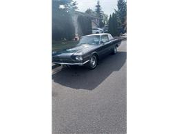 1986 Ford Thunderbird (CC-1647476) for sale in Cadillac, Michigan