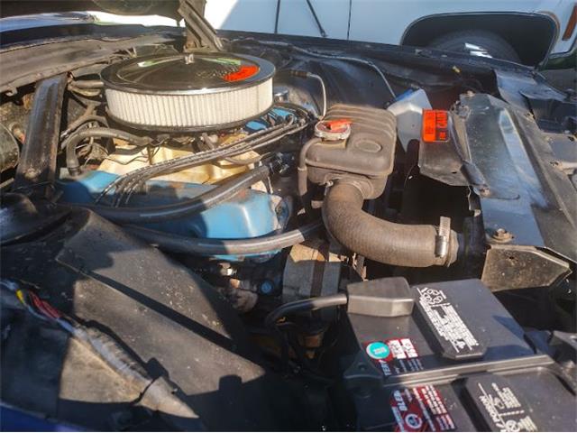 1986 Ford Thunderbird (CC-1647476) for sale in Cadillac, Michigan
