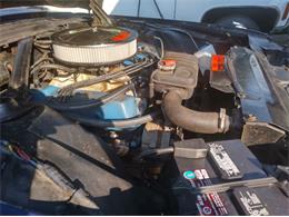 1986 Ford Thunderbird (CC-1647476) for sale in Cadillac, Michigan