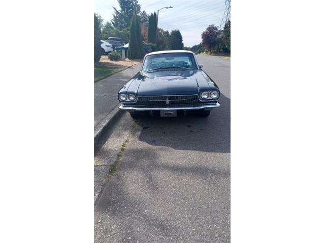 1986 Ford Thunderbird (CC-1647476) for sale in Cadillac, Michigan