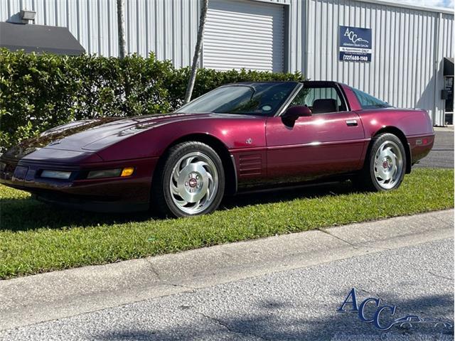 1993 Chevrolet Corvette (CC-1649018) for sale in Clearwater, Florida