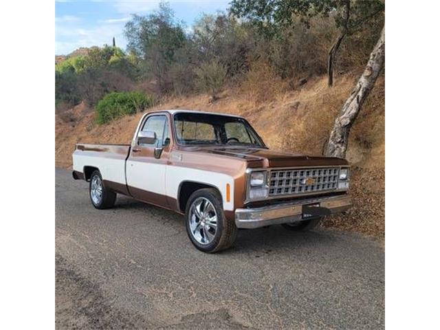 1980 Chevrolet C10 (CC-1651229) for sale in Cadillac, Michigan