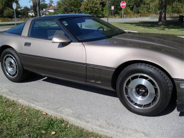 1985 Chevrolet Corvette (CC-1651271) for sale in Cadillac, Michigan