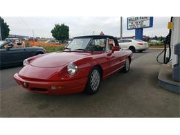 1991 Alfa Romeo Spider (CC-1651802) for sale in Palm Springs, California