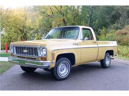 1974 Chevrolet C10 (CC-1651861) for sale in Kentwood, Michigan