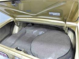 1968 Ford Mustang GT/CS (California Special) (CC-1652454) for sale in Old Forge, Pennsylvania