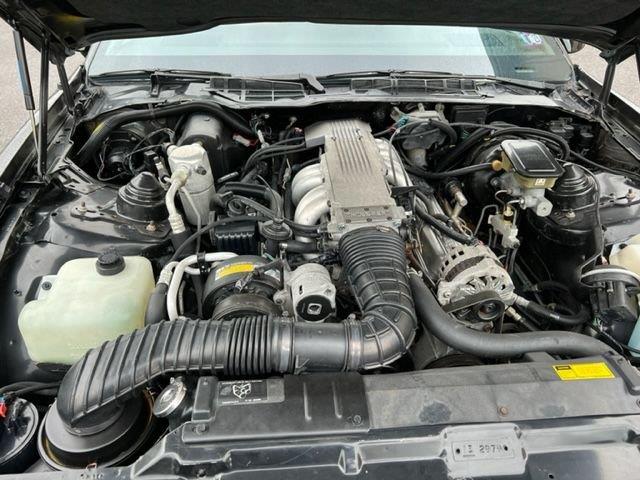 1988 Pontiac Firebird Trans Am (CC-1652615) for sale in Greensboro, North Carolina