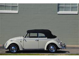 1965 Volkswagen Beetle (CC-1650290) for sale in Cadillac, Michigan