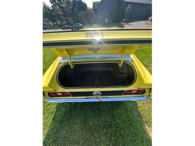 1971 Ford Mustang (CC-1653456) for sale in Cadillac, Michigan