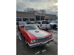 1975 Ford Ranchero (CC-1653489) for sale in Cadillac, Michigan