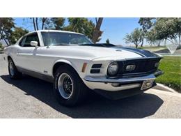 1970 Ford Mustang (CC-1653534) for sale in Cadillac, Michigan