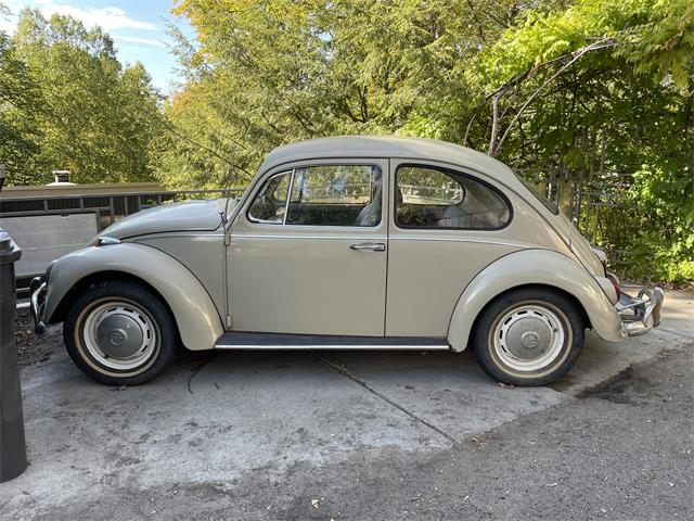 1967 Volkswagen Beetle (CC-1654667) for sale in St. Paul, Minnesota