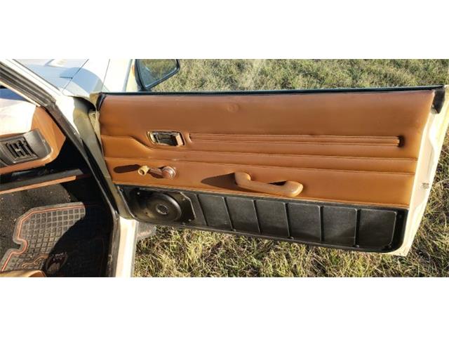 1978 Subaru Brat (CC-1654775) for sale in Cadillac, Michigan