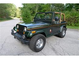 1995 Jeep Wrangler (CC-1655388) for sale in Putnam Valley, New York