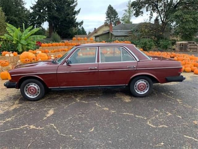 1980 Mercedes-Benz 240D (CC-1655761) for sale in Cadillac, Michigan