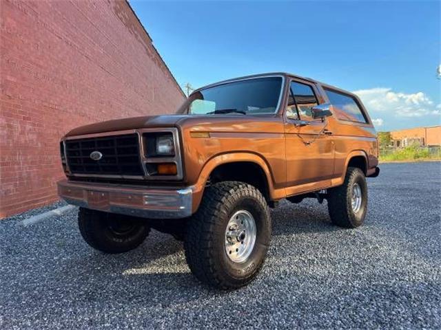 1983 Ford Bronco (CC-1655781) for sale in Cadillac, Michigan